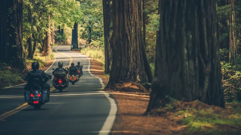 Best Forest Riding Destinations USA: The Definitive Editorial Guide